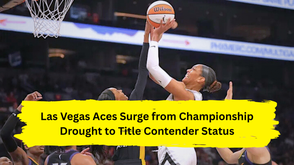 WNBA team rankings