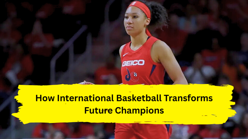 WNBA players overseas careers