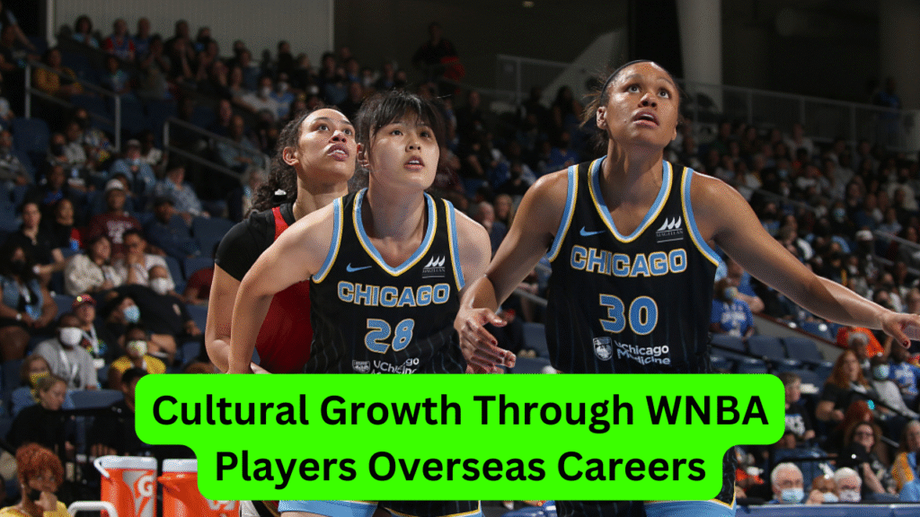 WNBA players overseas careers