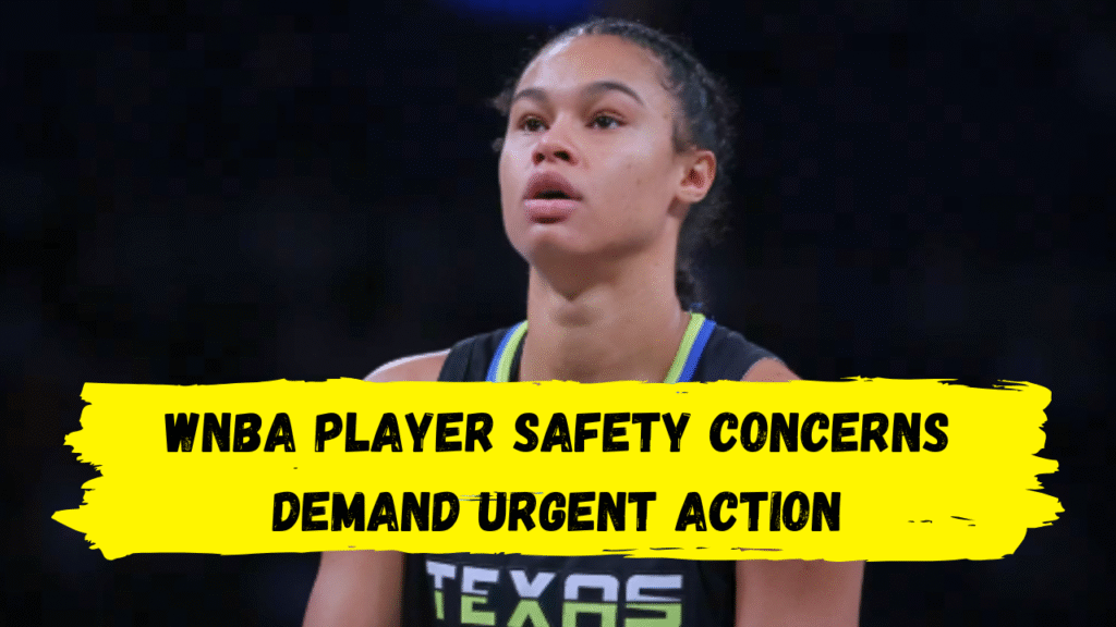 WNBA Player Safety