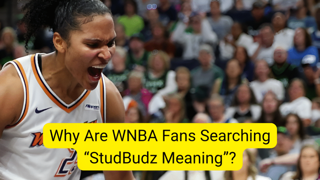 StudBudz WNBA meaning