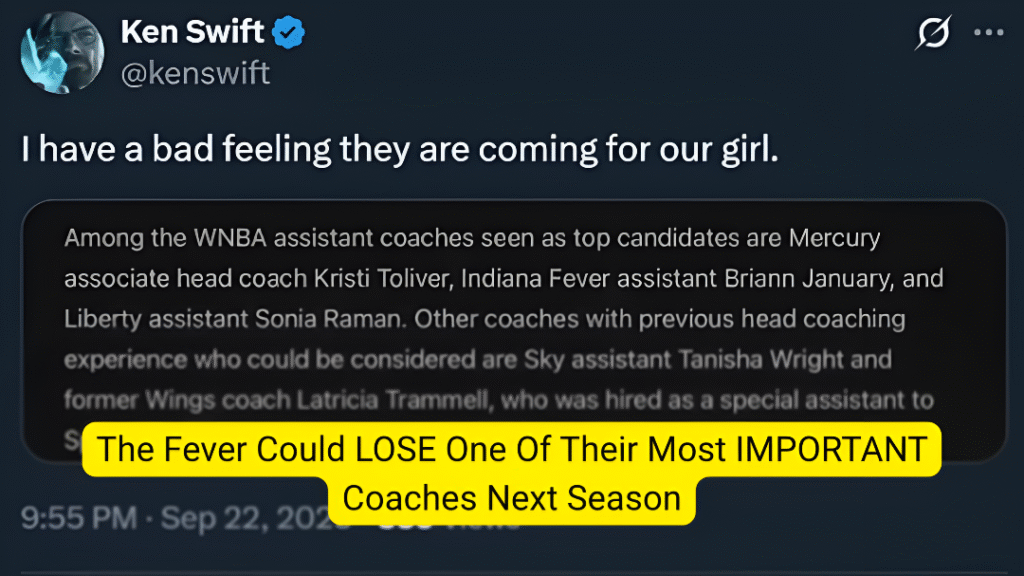 Brienne January WNBA