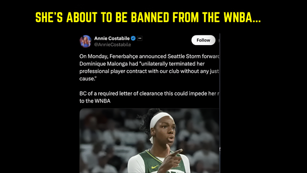 Dominique Malonga WNBA ban
